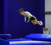 Competition of 6th Baku championship on trampolining kicks off (PHOTO)