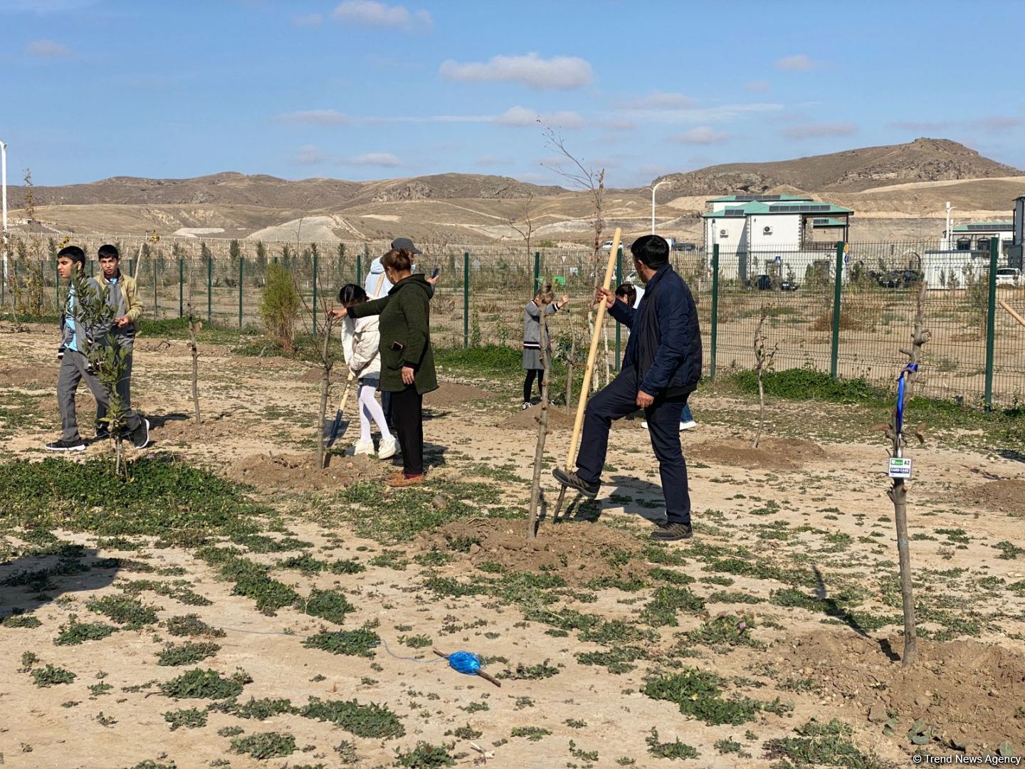 Fruit trees planted in Aghali village of Azerbaijan's liberated Zangilan district on Victory Day (PHOTO)