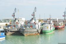 Azerbaijan forecasts volume of transshipment through Port of Baku until end of 2022 (PHOTO)
