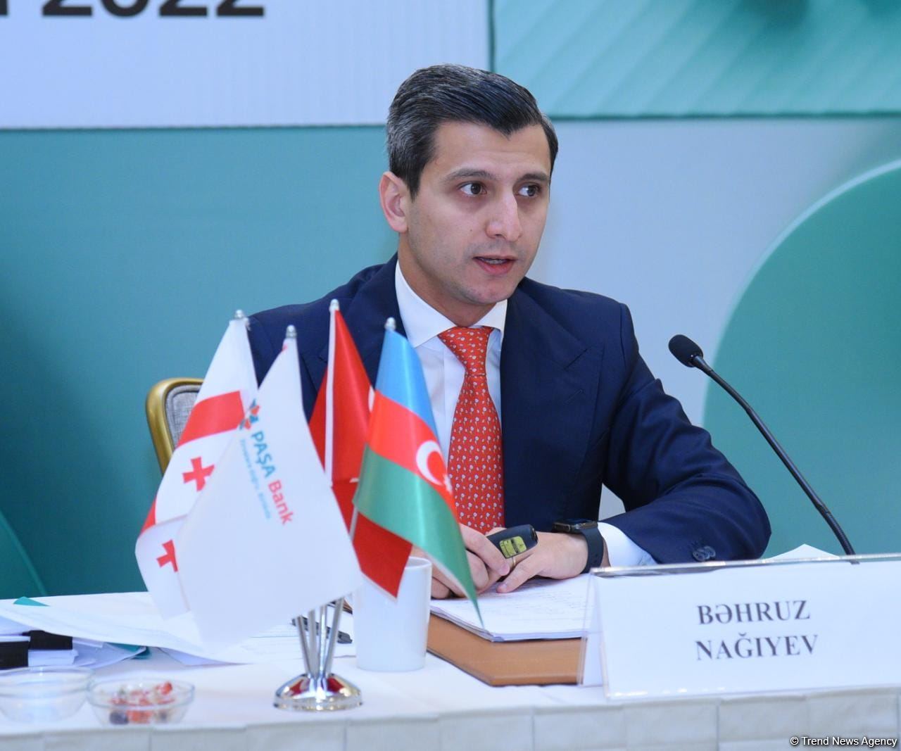 PASHA Bank Georgia's financial performance revealed