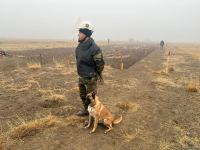 Azerbaijan reveals mine-clearance progress in Aghdam district (PHOTO)