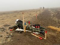 Azerbaijan reveals mine-clearance progress in Aghdam district (PHOTO)