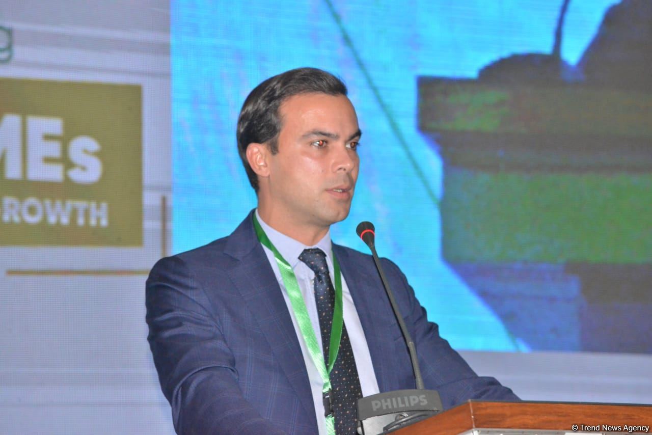 Azerbaijan one of main gas supplier to Bulgaria, Bulgarian SME Promotion Agency says