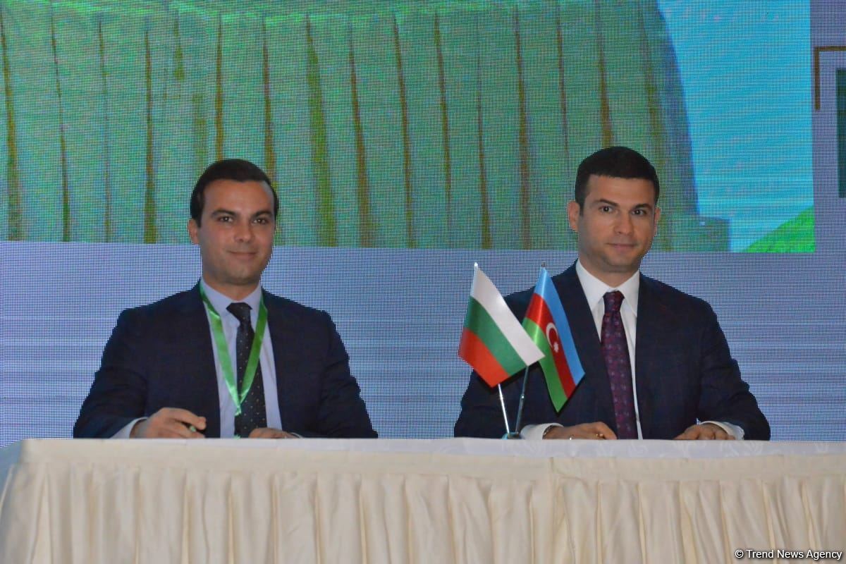 Azerbaijan's SMBDA, Bulgaria's SME Promotion Agency sign MoU (PHOTO)