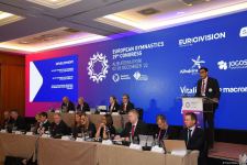 Azerbaijani minister re-elected president of European Gymnastics (PHOTO)