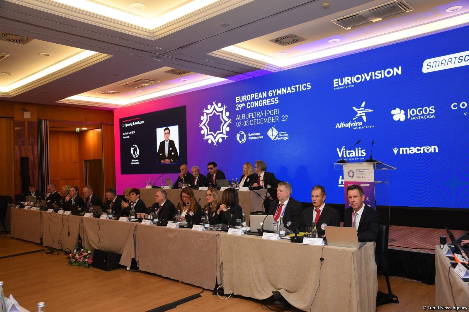 Azerbaijani minister re-elected president of European Gymnastics (PHOTO)