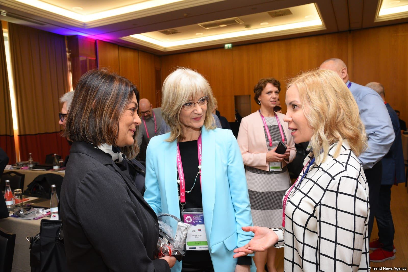 Azerbaijani minister re-elected president of European Gymnastics (PHOTO)