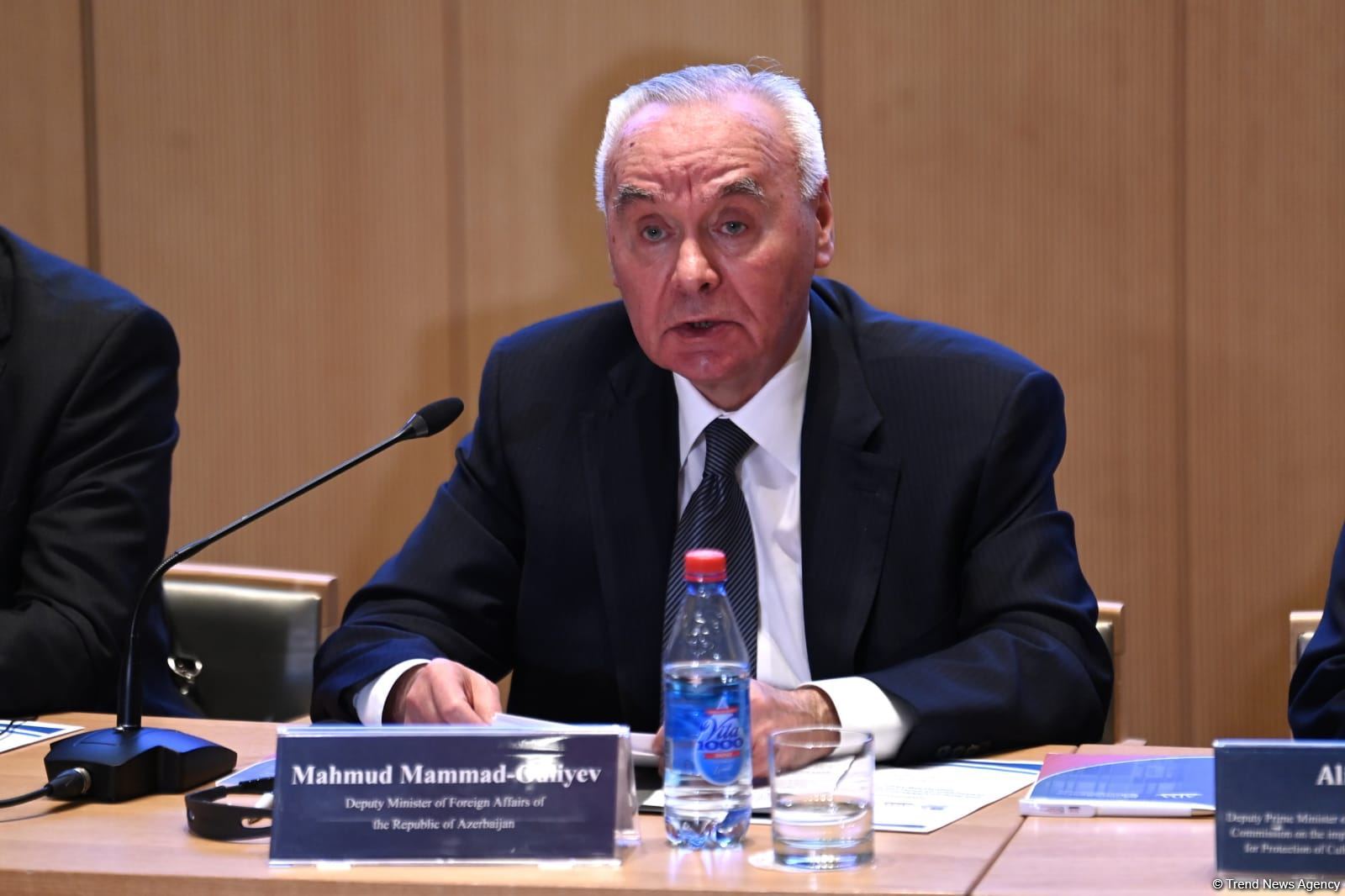 Azerbaijan's deputy FM talks Armenia's vandalism at int'l conference