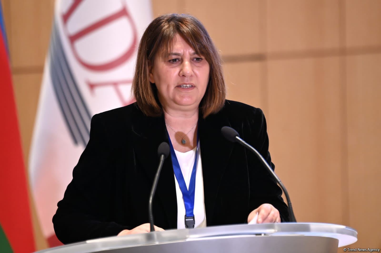 Mine threat in Azerbaijan's Karabakh slows down return of people - ICOMOS Vice President (exclusive)