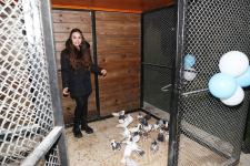 VP of Heydar Aliyev Foundation Leyla Aliyeva takes part in opening of another renovated courtyard within framework of Our Yard project (PHOTO)