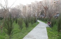 VP of Heydar Aliyev Foundation Leyla Aliyeva takes part in opening of another renovated courtyard within framework of Our Yard project (PHOTO)
