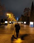 VP of Heydar Aliyev Foundation Leyla Aliyeva shared publication on preparations for New Year in Baku (PHOTO/VIDEO)