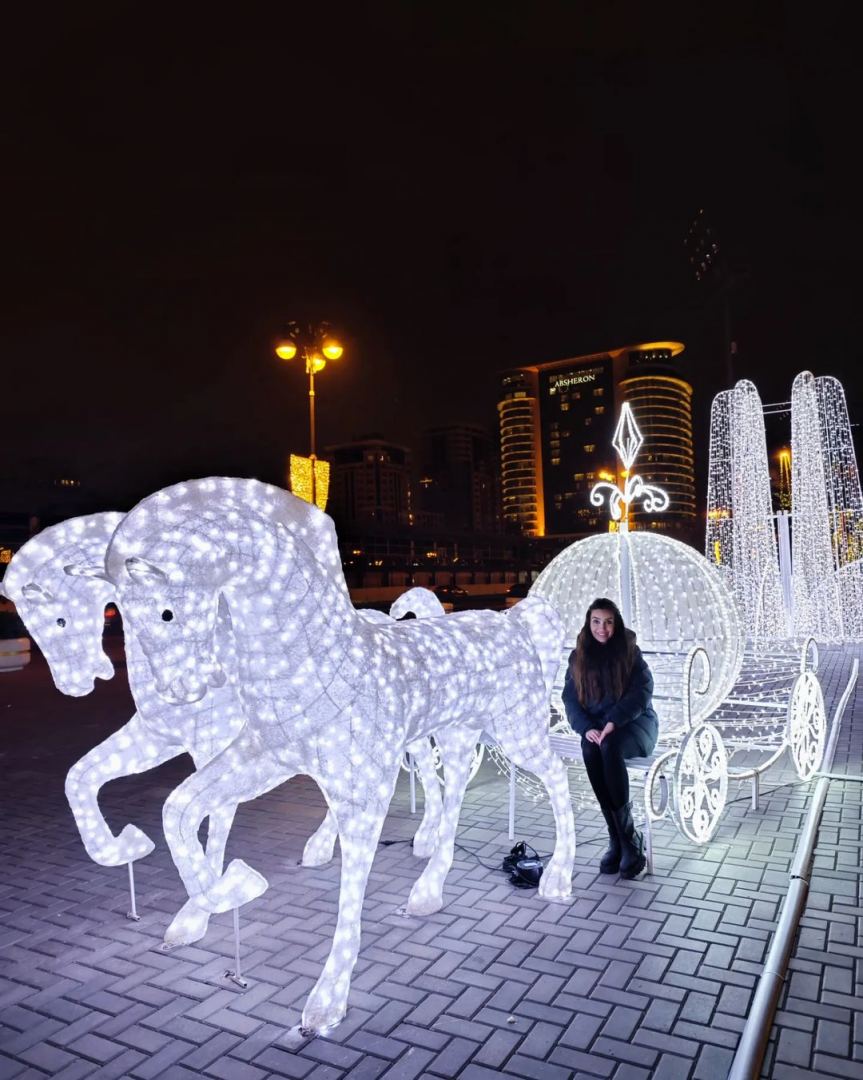 VP of Heydar Aliyev Foundation Leyla Aliyeva shared publication on preparations for New Year in Baku (PHOTO/VIDEO)