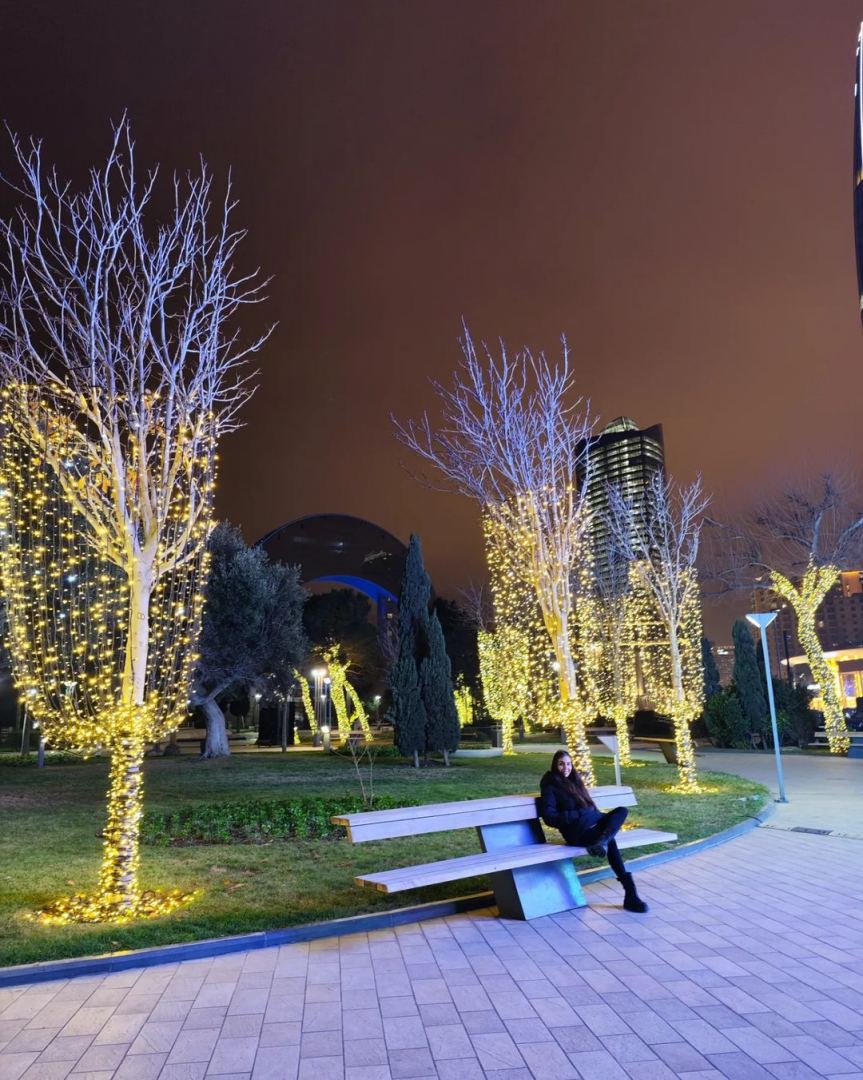 VP of Heydar Aliyev Foundation Leyla Aliyeva shared publication on preparations for New Year in Baku (PHOTO/VIDEO)