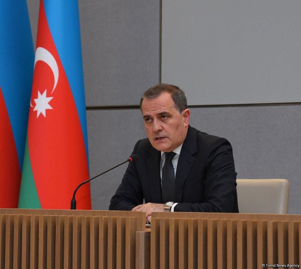 Armenia was not only one involved in looting of mineral deposits in Azerbaijan's Karabakh - FM