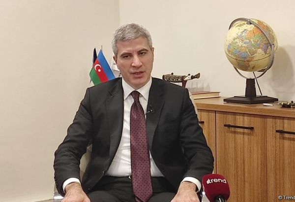 Azerbaijan needs to adapt to global labor market changes -  State Employment Agency
