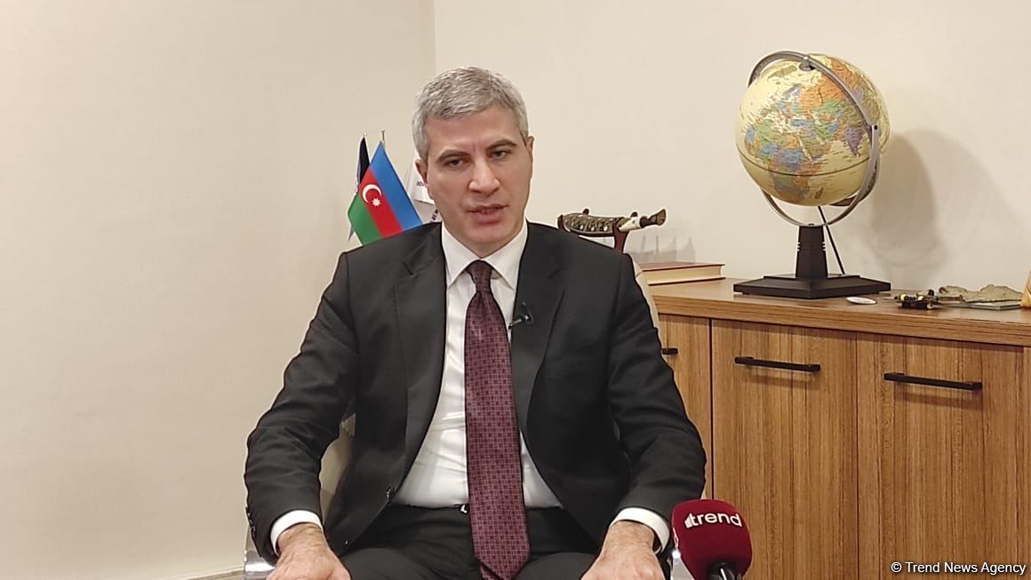 Azerbaijan needs to adapt to global labor market changes -  State Employment Agency