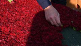 Baku prepares for commemoration of 33rd anniversary of January 20 tragedy (PHOTO)