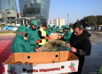 Baku prepares for commemoration of 33rd anniversary of January 20 tragedy (PHOTO)