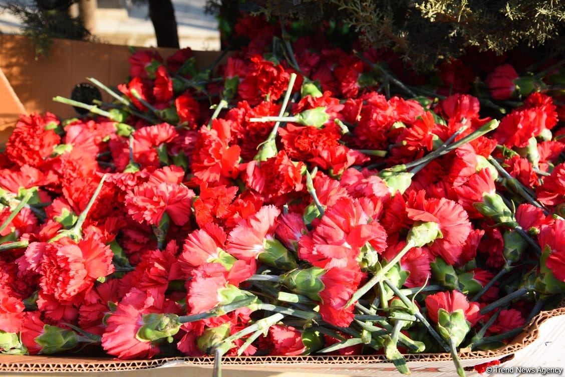Baku prepares for commemoration of 33rd anniversary of January 20 tragedy (PHOTO)