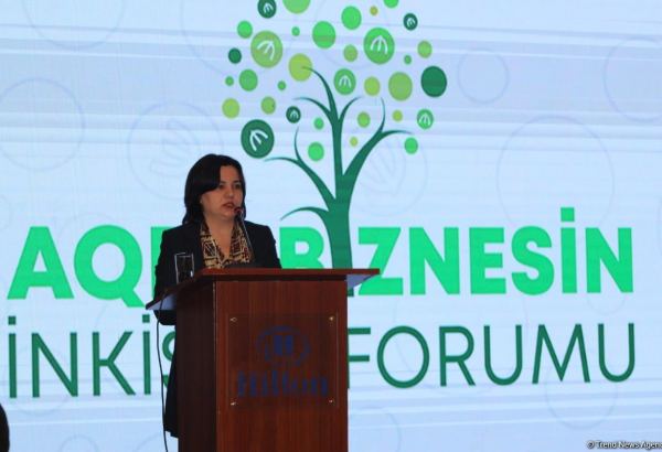 Baku Harmoniya for farmers means solution clarifying complex landscape of climate projects