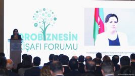 Azerbaijan aims to integrate its liberated territories into value chain - deputy minister (PHOTO)