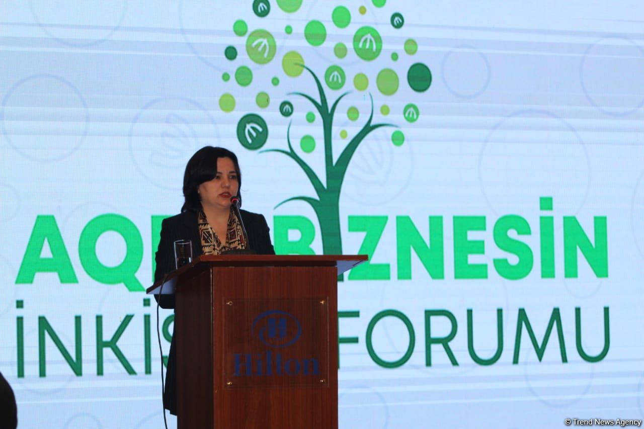 Baku Harmoniya for farmers means solution clarifying complex landscape of climate projects