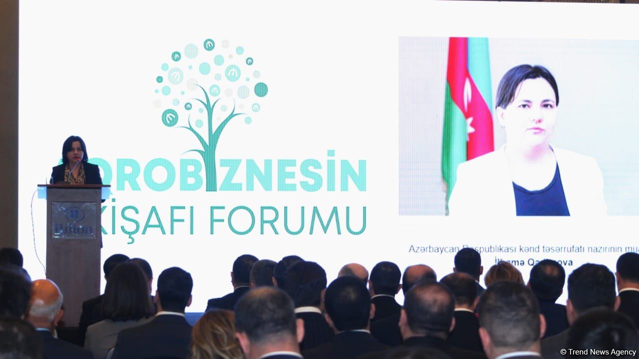 Azerbaijan aims to integrate its liberated territories into value chain - deputy minister (PHOTO)