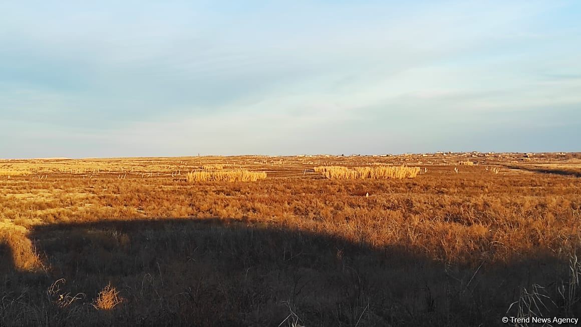International travelers visit mass graves in Azerbaijan’s Fuzuli (PHOTO)