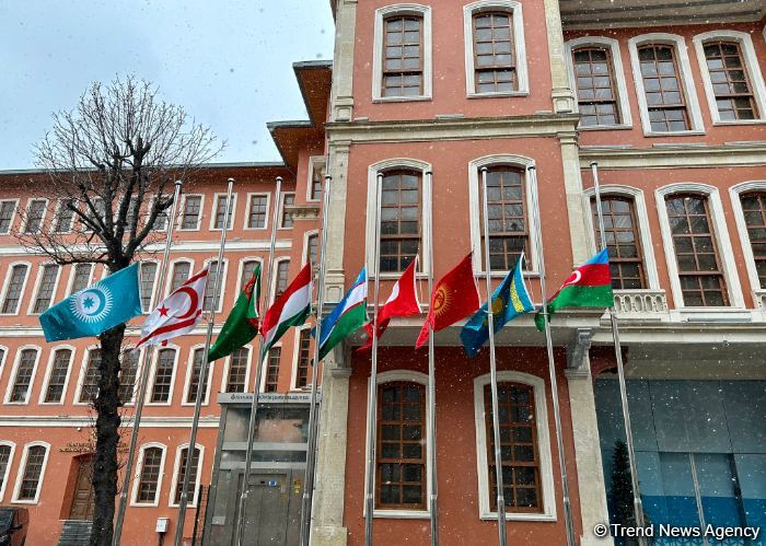 Date of Summit of the Organization of Turkic States revealed
