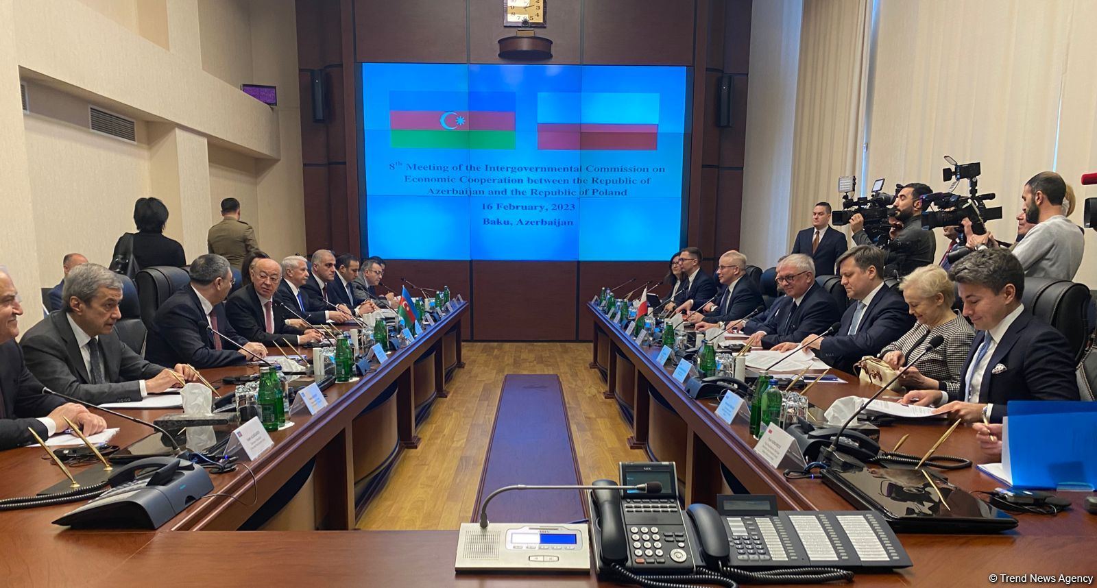 Azerbaijan, Poland have great potential for enhancing trade turnover - minister