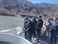 Brook trouts released into Hakari river in Azerbaijan's Lachin district (PHOTO)
