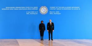President Ilham Aliyev attends Summit of NAM Contact Group on fight against COVID-19 in Baku (PHOTO/VIDEO)