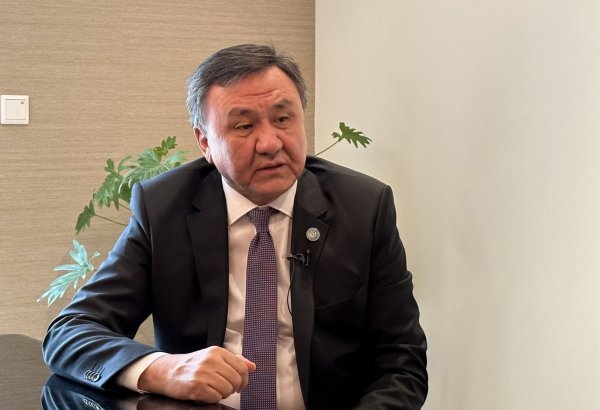 OTS Secretary General sends congratulatory letter to President Ilham Aliyev