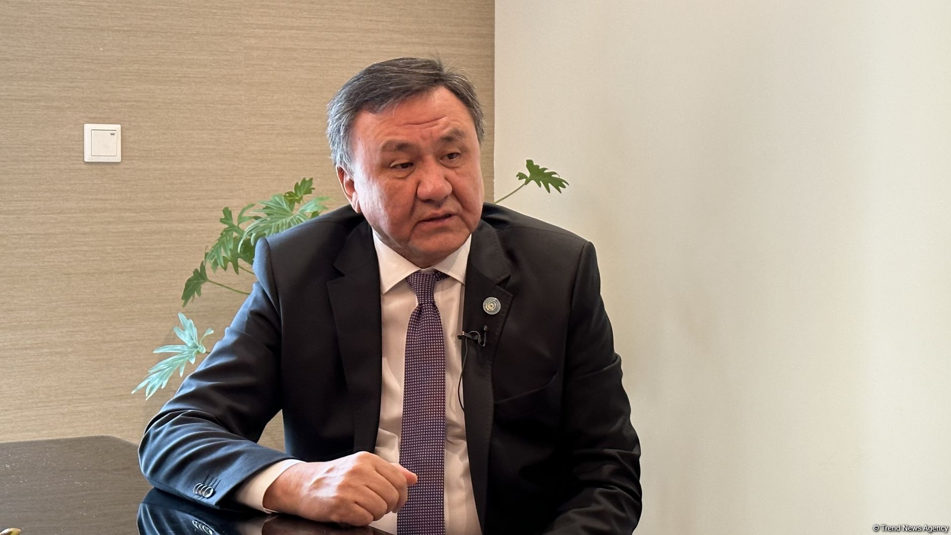Zangazur corridor extremely important for dev't of transport in region - OTS SecGen says