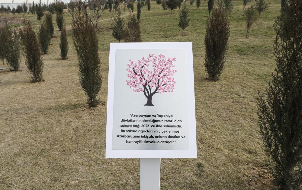 Heydar Aliyev Foundation’s VP Leyla Aliyeva takes part in “Green Marathon 2023” tree-planting campaign (PHOTO)