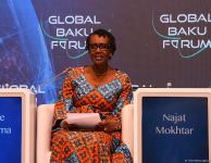 Fourth panel meeting held within framework of Global Baku Forum (PHOTO)