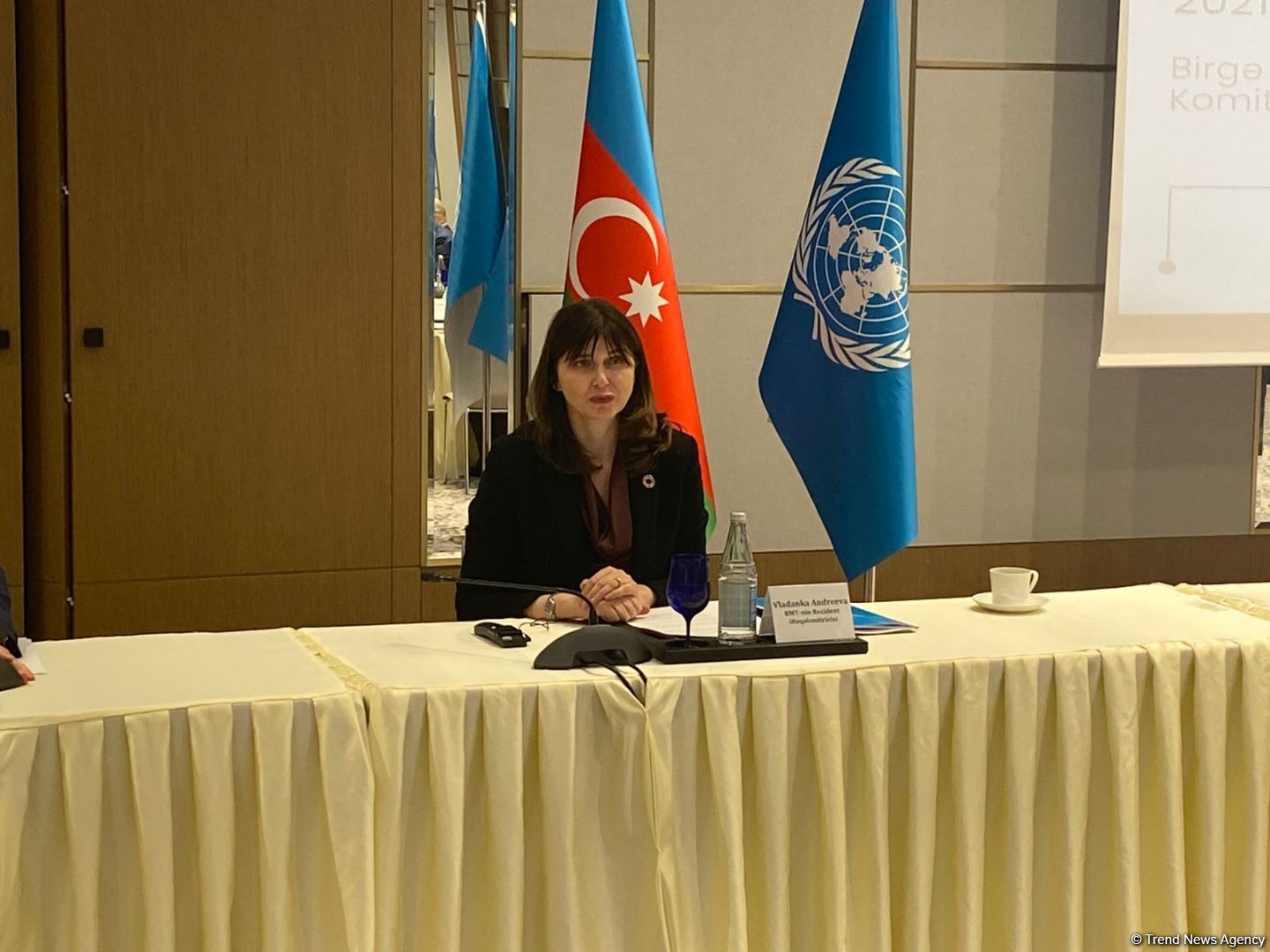 UN resident coordinator talks action plan in Azerbaijan for 2023