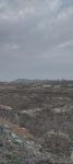 UN representatives get acquainted with destruction committed by Armenians during occupation in Azerbaijan's Fuzuli