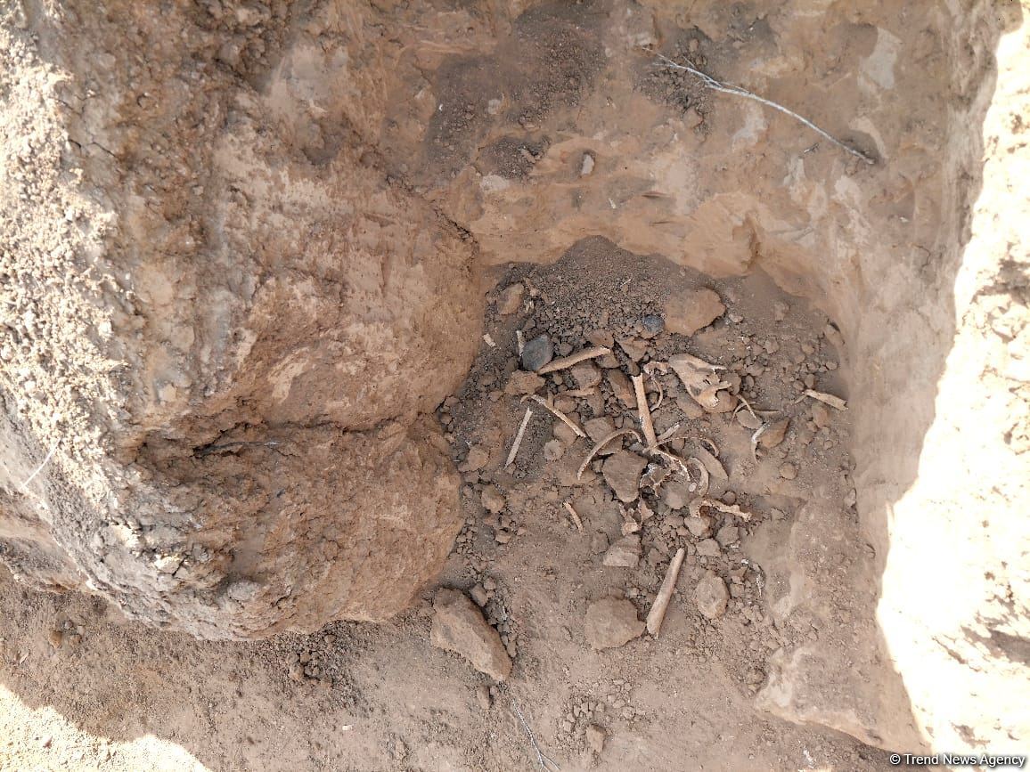 Azerbaijan releases footage of human remains found in Aghdam district (PHOTO)