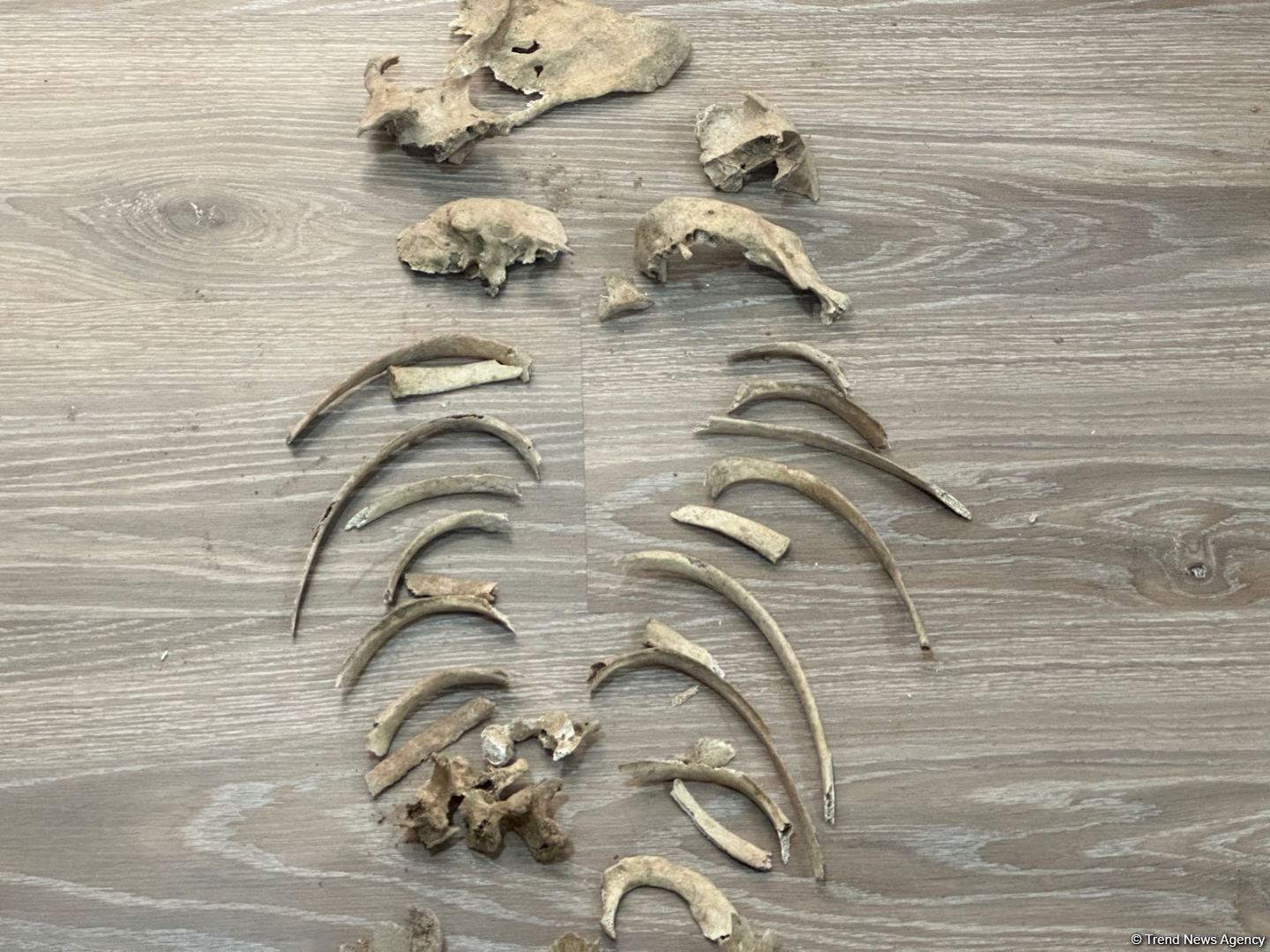 Azerbaijan releases footage of human remains found in Aghdam district (PHOTO)