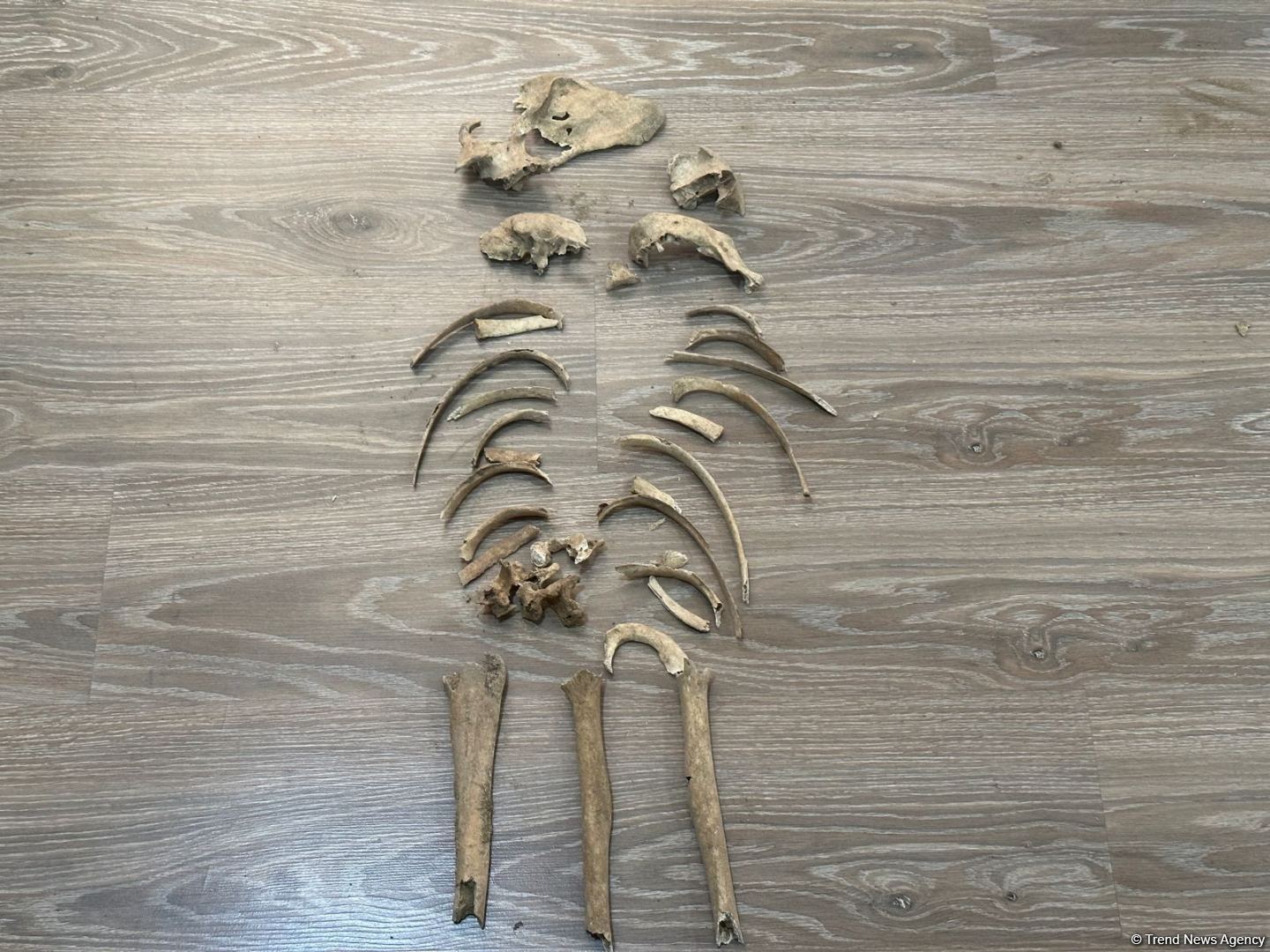 Azerbaijan releases footage of human remains found in Aghdam district (PHOTO)