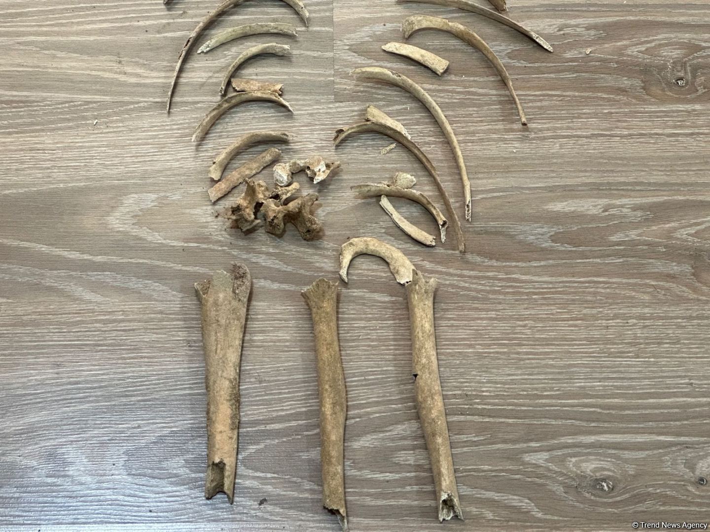 Azerbaijan releases footage of human remains found in Aghdam district (PHOTO)