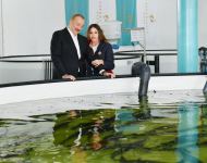 President Ilham Aliyev, First Lady Mehriban Aliyeva view conditions created at Sturgeon Breeding Farm owned by “Azerbaijan Fish Farm” LLC in Yenikand village, Neftchala (PHOTO/VIDEO)