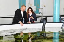 President Ilham Aliyev, First Lady Mehriban Aliyeva view conditions created at Sturgeon Breeding Farm owned by “Azerbaijan Fish Farm” LLC in Yenikand village, Neftchala (PHOTO/VIDEO)