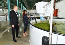 President Ilham Aliyev, First Lady Mehriban Aliyeva view conditions created at Sturgeon Breeding Farm owned by “Azerbaijan Fish Farm” LLC in Yenikand village, Neftchala (PHOTO/VIDEO)