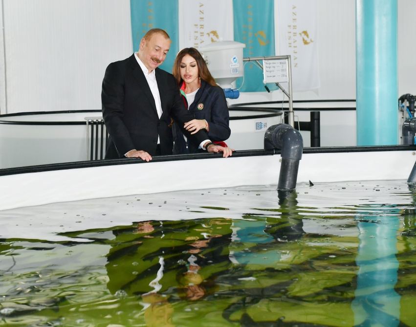 President Ilham Aliyev, First Lady Mehriban Aliyeva view conditions created at Sturgeon Breeding Farm owned by “Azerbaijan Fish Farm” LLC in Yenikand village, Neftchala (PHOTO/VIDEO)