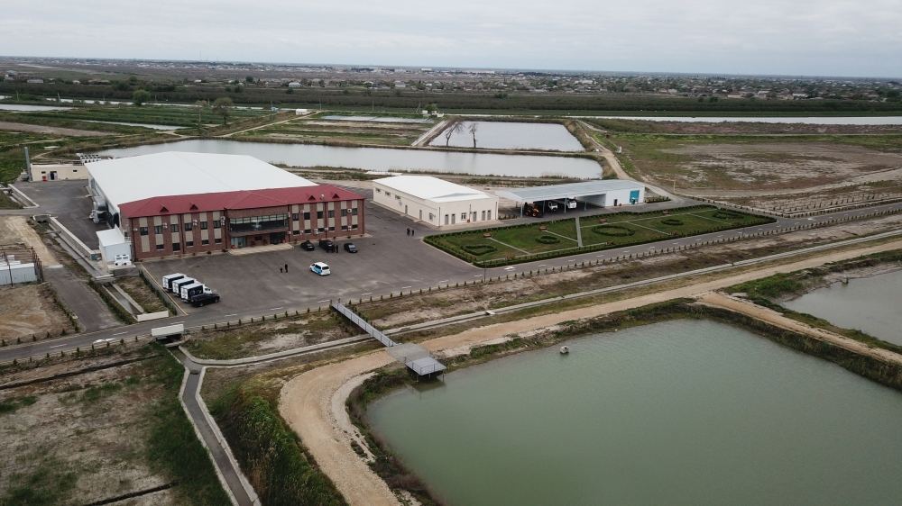 President Ilham Aliyev, First Lady Mehriban Aliyeva view conditions created at Sturgeon Breeding Farm owned by “Azerbaijan Fish Farm” LLC in Yenikand village, Neftchala (PHOTO/VIDEO)