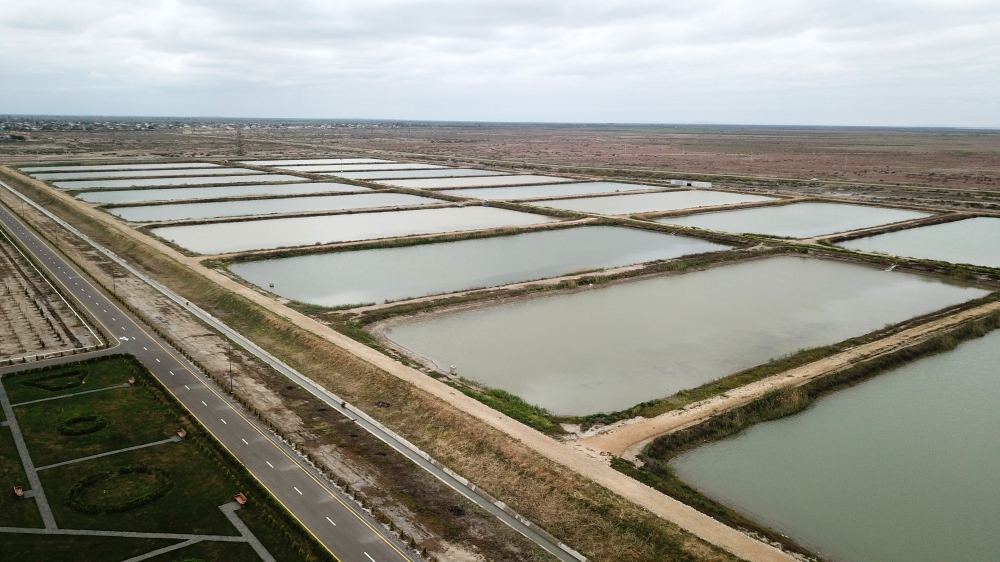 President Ilham Aliyev, First Lady Mehriban Aliyeva view conditions created at Sturgeon Breeding Farm owned by “Azerbaijan Fish Farm” LLC in Yenikand village, Neftchala (PHOTO/VIDEO)