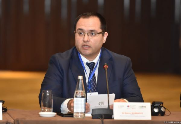 Green restoration, digitalization and innovative solutions serve as key principles for Azerbaijan's agri-food system - minister